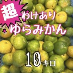 超訳あり！静岡県産【ゆらみかん】10キロ サイズ混合のサムネイル