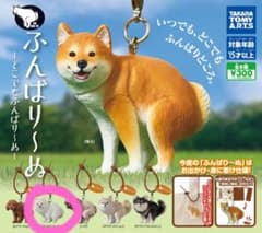 ふんばり〜ぬ　どこでもふんばりーぬのサムネイル