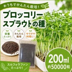 ブロッコリースプラウト専用種子　200ml ネコポス配送　高発芽率種子のサムネイル