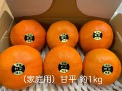 ◇家庭用 愛媛県産 甘平約1kgのサムネイル