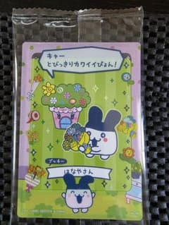 たまごっちのプチプチおみせっちしり〜ず カード＆フレームのサムネイル