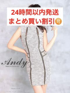 Andy/アンディ ジップデザイン ミニドレスSサイズのサムネイル