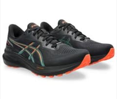 asics GT-1000 13 GTX