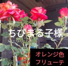 ちびまる子様 リクエスト 2点 まとめ商品のサムネイル