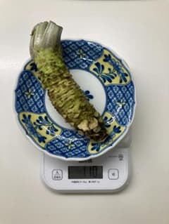 生わさび伊豆市天城産500ｇ～（堀の水源湧き水育ち）4月18日発送予定 生わさび伊豆市天城産500g～（堀の水源湧き水育ち) - メルカリ
