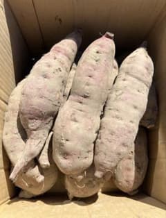 ベニハルカ 13本 箱込み2.6kg 9月末収穫のサムネイル