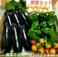 野菜セット❤ニンニク❤ミニトマト❤なす❤ジャンボししとう❤ピーマン