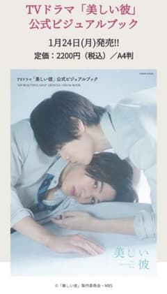 TVドラマ「美しい彼」公式ビジュアルブックのサムネイル