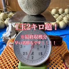 長崎県島原産 温室高級メロン(大玉２玉)のサムネイル