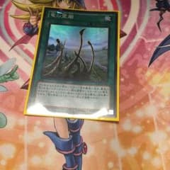 竜の霊廟 スーパーのサムネイル