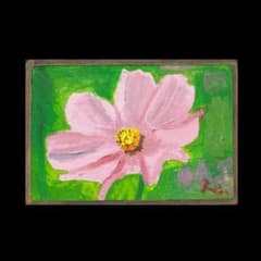 コスモス アキザクラ オオハルシャギク 秋 ピンク 油絵 絵画 【mc0565