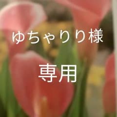 専用です。購入はご遠慮ください(_ _)のサムネイル