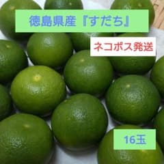 徳島県産『すだち』16玉のサムネイル