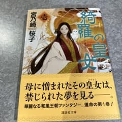 綺羅の皇女(1)
