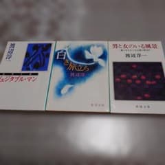 渡辺淳一 文庫本 3冊セット - メルカリ