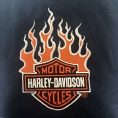 Harley-Davidson sweatshirt Moltres pattern
