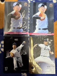 菊池雄星 ルーキー 銀箔サイン 西武ライオンズ RC WBC MLB プロ野球