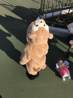 ダッフィ着ぐるみのサムネイル