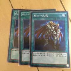 戦士の生還のサムネイル