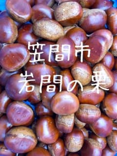 茨城県　笠間市　栗のサムネイル