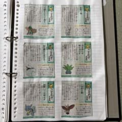 読売新聞 ポケモン ことわざ 熟語大百科 他 - メルカリ