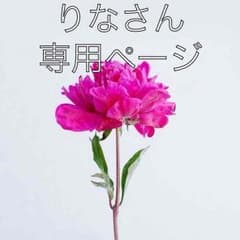りな様 専用のサムネイル