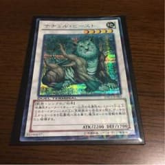 最安値 ナチュルビースト シク  DTC-1のサムネイル
