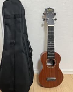 KIWAYA ウクレレ 本体 ケース、練習DVD付きのサムネイル