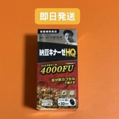 納豆キナーゼHQ 4000FU 30日分×120粒のサムネイル