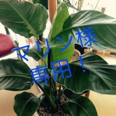 Azui トレーナー Mサイズのサムネイル