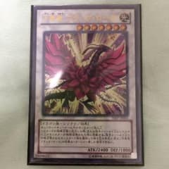 ブラックローズ 1枚のサムネイル