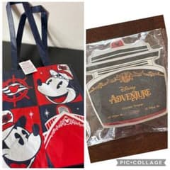 ディズニークルーズDisneyCruise 初航海記念限定バッジシンガポール新品 ディズニークルーズDisneyCruise 初航海記念限定バッジシンガポール