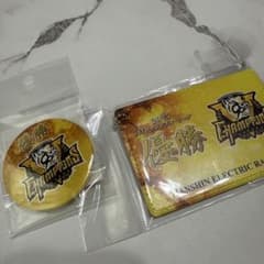阪神タイガース　リーグ優勝記念パスケース　阪神電車のサムネイル