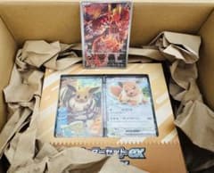 ポケモンカード グラードン AR 1枚・イーブイスターターセットのサムネイル