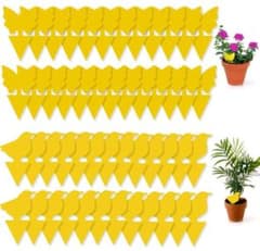 昆虫トラップ ハエ アブラムシ ミバエ 害虫対策用品 虫取りシート 屋内外対応のサムネイル