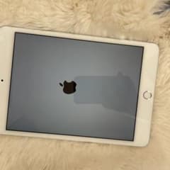 iPad mini4 Wi-Fi+Cellular 16GB シルバーのサムネイル