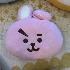 BT21 COOKY Plush Cushion BTS JUNG KOOK