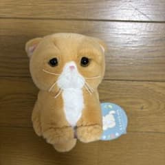 内藤デザイン研究所　もちゃぼんぼん　ぬいぐるみのサムネイル