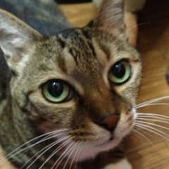 返金用 GLさん宛のサムネイル