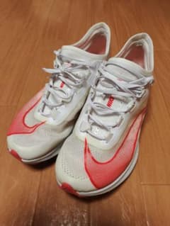 ズームフライのサムネイル