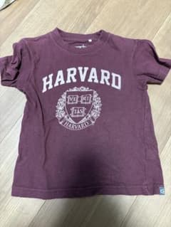 HARVARD/ロゴ Tシャツ ボルドー/90~100cm程のサムネイル