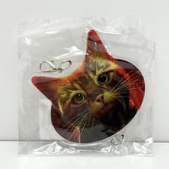 ストレイ ネコ 特典 アクリルキーホルダー