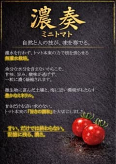 【甘いだけでは終わらない】濃奏ミニトマト徳用1kgのサムネイル