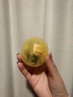 ハイキュー！！ ねむらせ隊 月島蛍 カプセルありのサムネイル