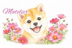 柴犬の絵　水彩画　原画　癒し　動物の絵　コスモス　豆柴の絵のサムネイル