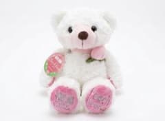 【新品タグ付き】福島限定　ご当地ベア ぬいぐるみ　ピーチベアのサムネイル
