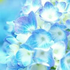ありがとうございます♥のサムネイル