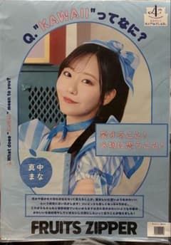 FRUITS ZIPPER 真中まな まなふぃ カワラボ ポスターB3 - メルカリ