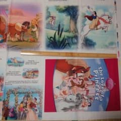 レア☆　プリンセス　ブックパネル　はぎれのサムネイル