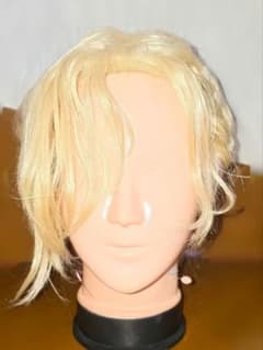 ヴィル 寮服 ウィッグのサムネイル